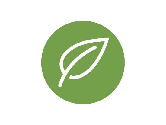 Ecología